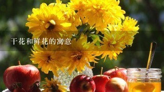 干花和鲜花的寓意