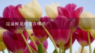 昆渝鲜花批发在哪里