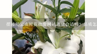 摆摊用云南鲜花批发网站进货合适吗？品质怎么样