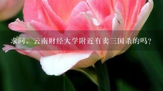 求问，云南财经大学附近有卖3国杀的吗？