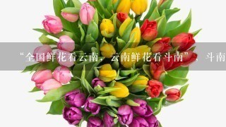 “全国鲜花看云南，云南鲜花看斗南”，斗南花市距昆明市区约18公里，是亚洲最大的鲜花交易市场，也是中国最大的花卉交易市场...