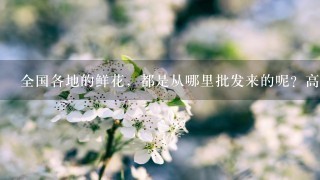 全国各地的鲜花，都是从哪里批发来的呢？高档花卉，