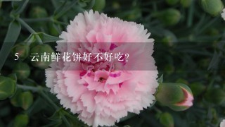 5 云南鲜花饼好不好吃？