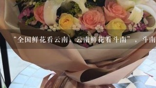 “全国鲜花看云南，云南鲜花看斗南”，斗南花市距昆明市区约18公里，是亚洲最大的鲜花交易市场，也是中国最大的花卉交易市场...