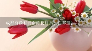 成都有没有云南鲜花饼卖？在哪里？