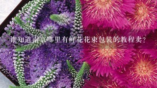 谁知道南京哪里有鲜花花束包装的教程卖？