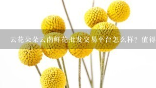 云花朵朵云南鲜花批发交易平台怎么样？值得选择吗？