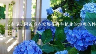 云南昆明附近重点发展花卉种植业的地理条件