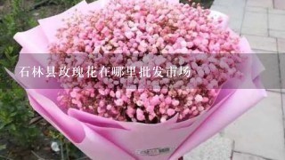 石林县玫瑰花在哪里批发市场