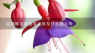 昆明鲜花饼包装盒批发什么地方售