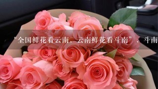 “全国鲜花看云南，云南鲜花看斗南”，斗南花市距昆明市区约18公里，是亚洲最大的鲜花交易市场，也是中国最大的花卉交易市场...