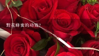 野花蜂蜜的功效？