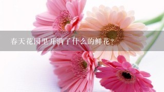 春天花园里开满了什么的鲜花？