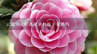 云南56元联通流量权益卡靠谱吗