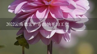 2022云南德宏芒市出纳平均工资