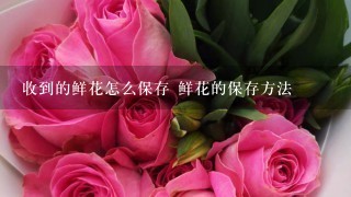 收到的鲜花怎么保存 鲜花的保存方法