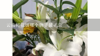 云南鲜花饼哪个牌子最正宗