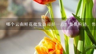 哪个云南鲜花批发公司好1点？要供应链、售后完善1