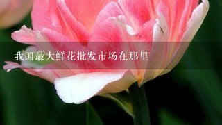 我国最大鲜花批发市场在那里