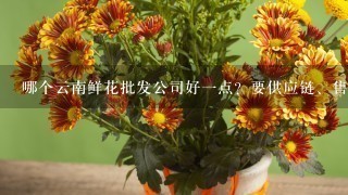 哪个云南鲜花批发公司好1点？要供应链、售后完善1点的