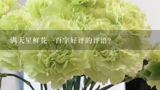 满天星鲜花1百字好评的评语？