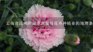 云南省昆明附近重点发展花卉种植业的地理条件是什么？