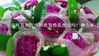 云南鲜花批发市场批发鲜花便宜吗？什么平 台好1点？