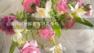 云南洋桔梗鲜花可以洗澡吗