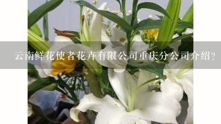 云南鲜花使者花卉有限公司重庆分公司介绍？