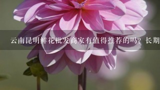 云南昆明鲜花批发商家有值得推荐的吗？长期合作