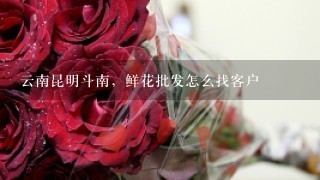 云南昆明斗南，鲜花批发怎么找客户