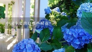 中国主要出口哪些鲜花？