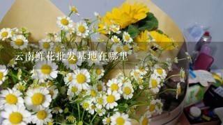 云南鲜花批发基地在哪里