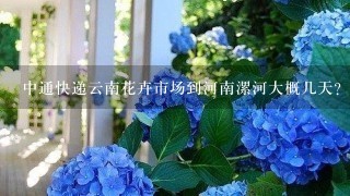 中通快递云南花卉市场到河南漯河大概几天？