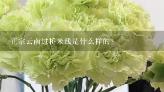 正宗云南过桥米线是什么样的？