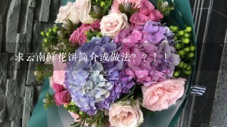 求云南鲜花饼简介或做法？？！！