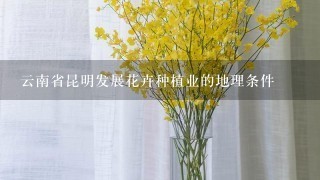 云南省昆明发展花卉种植业的地理条件