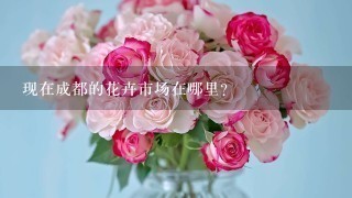 现在成都的花卉市场在哪里？