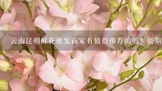 云南昆明鲜花批发商家有值得推荐的吗？长期合作