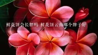 鲜花饼会长胖吗 鲜花饼云南哪个牌子好