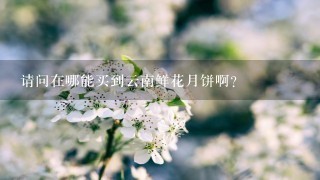 请问在哪能买到云南鲜花月饼啊?