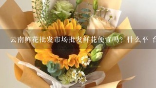 云南鲜花批发市场批发鲜花便宜吗？什么平 台好1点？