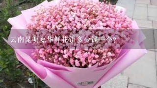 云南昆明嘉华鲜花饼多少钱1个？