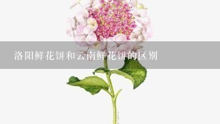 洛阳鲜花饼和云南鲜花饼的区别