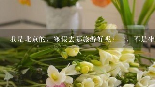 我是北京的，寒假去哪旅游好呢？1，不是坐飞机，2，不要太冷。