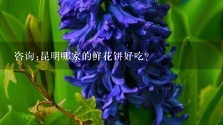 咨询:昆明哪家的鲜花饼好吃?