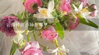 云南鲜花市场在哪里