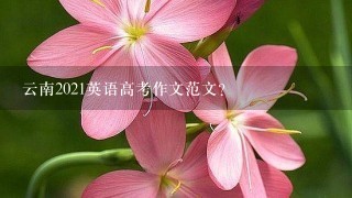 云南2021英语高考作文范文？