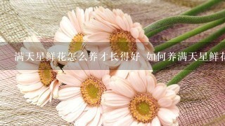 满天星鲜花怎么养才长得好 如何养满天星鲜花