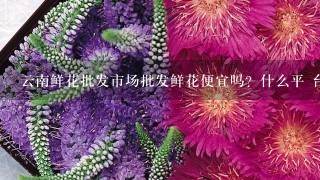 云南鲜花批发市场批发鲜花便宜吗？什么平 台好1点？